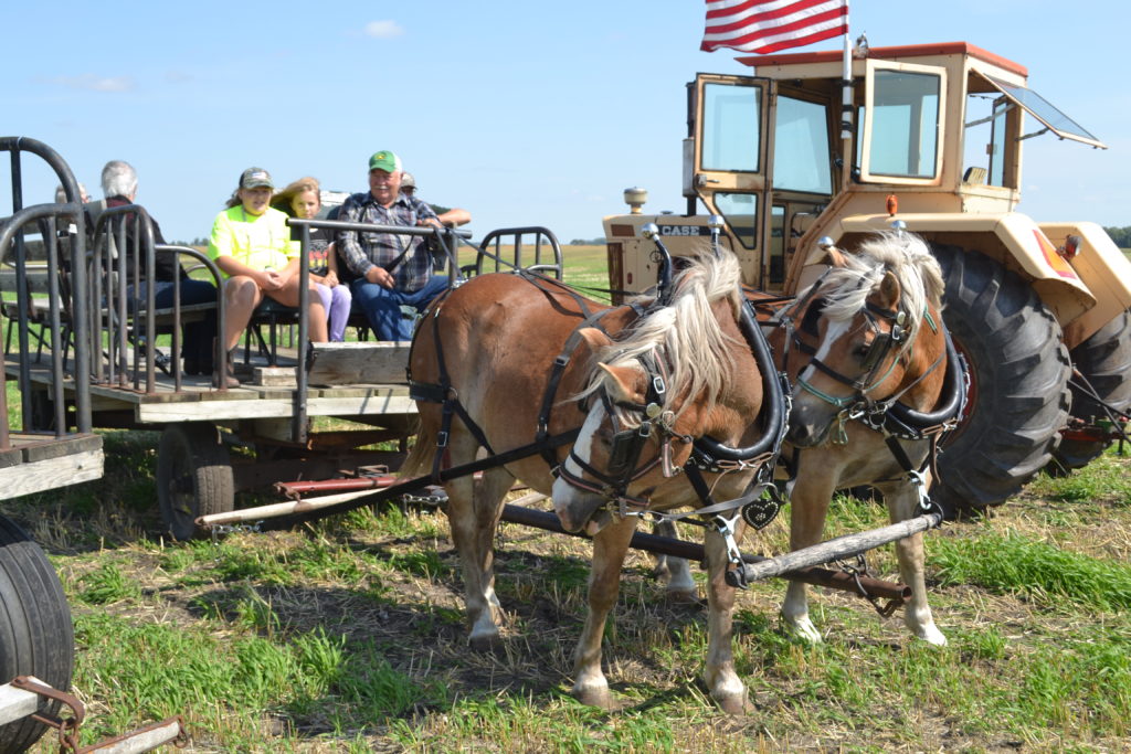 DSC_0394 Stump Lake Park & Stump Lake Village